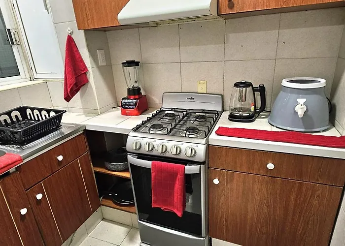 Apartamento Encantador Departamento En Polanco Cdmx *